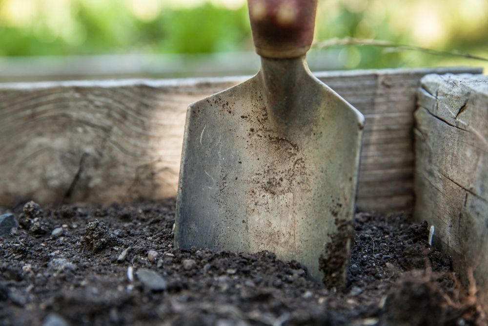 Potting Soil With Trowel