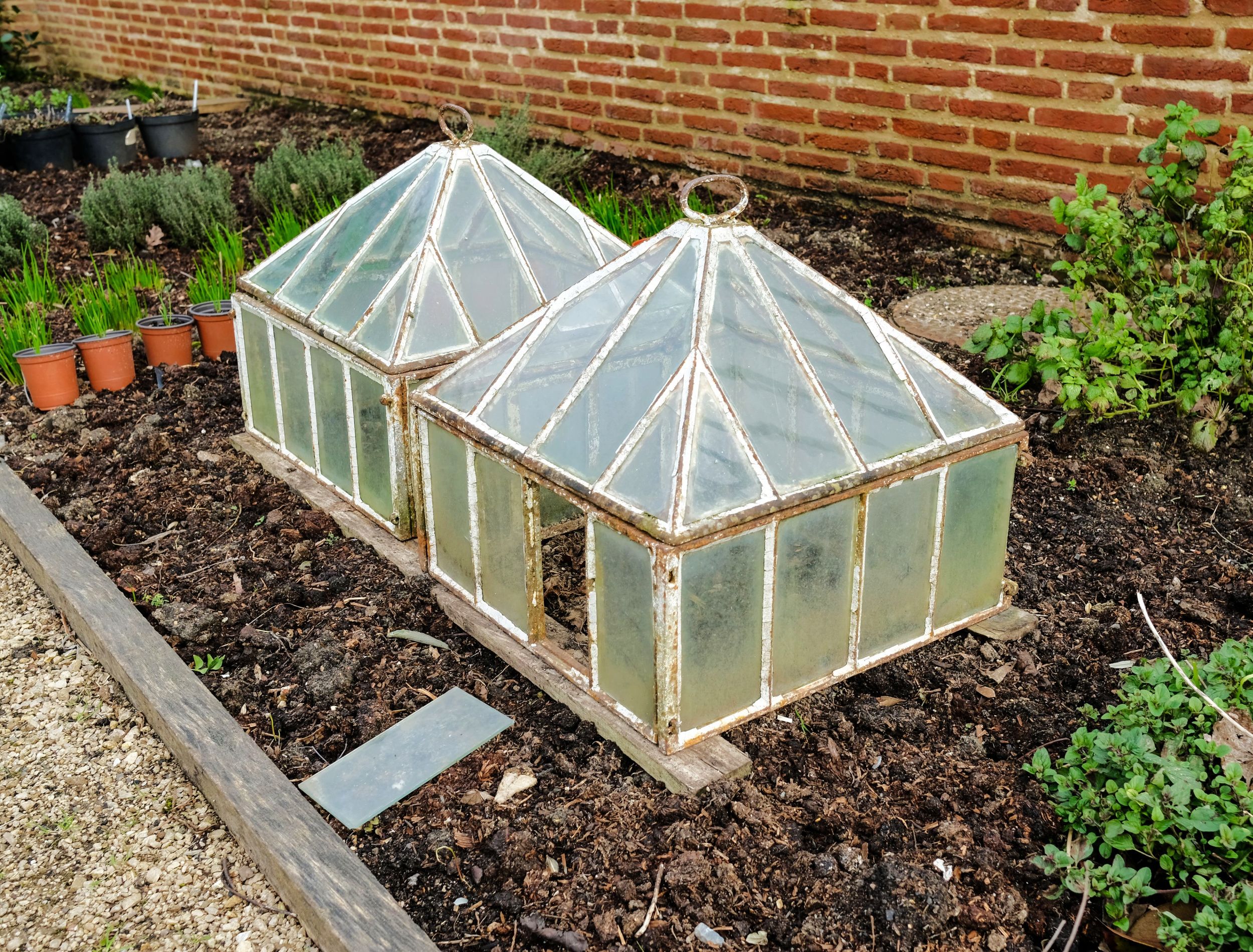 Ornate, old-style cold frames seen on an outside allotment plot. Lettuce are growing in the cold frames, one of the glass panels has fallen out onto the soil.