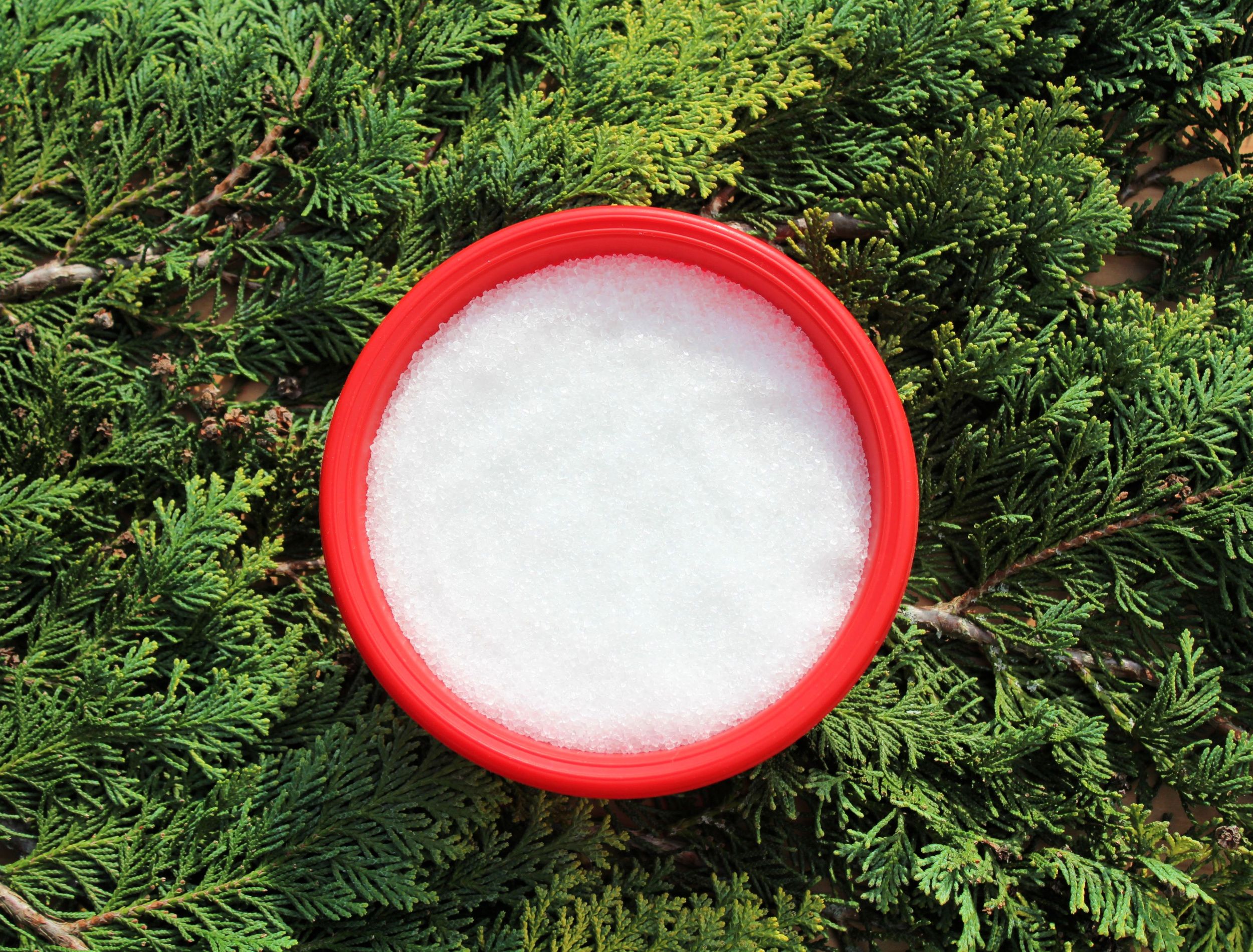 epsom salt on branches of a conifer