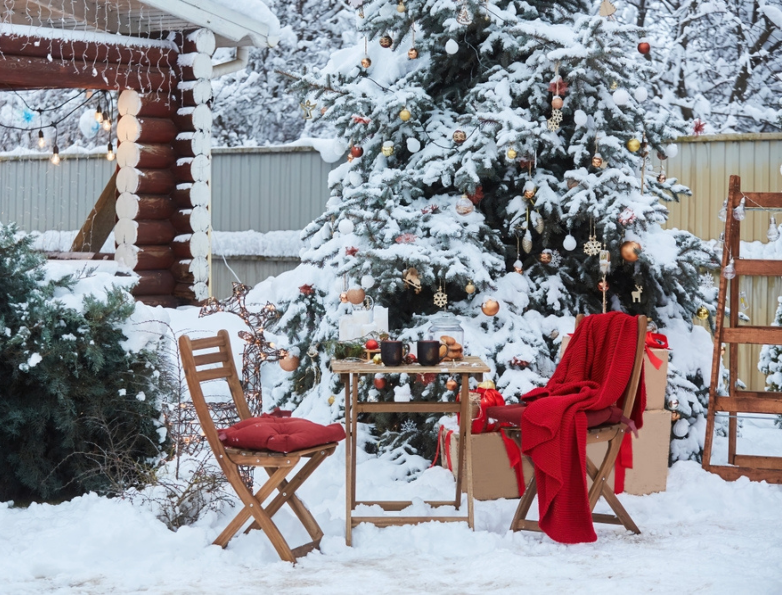 Outdoor Snowy Delight For Christmas Photoshoots