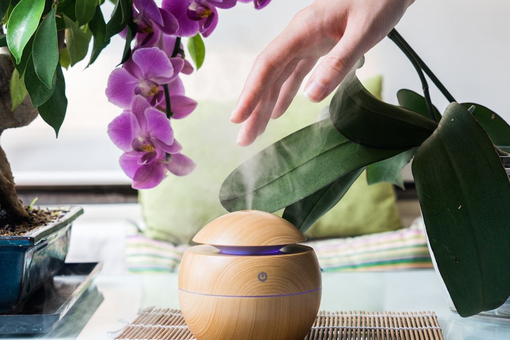 Using a humidifier for orchids