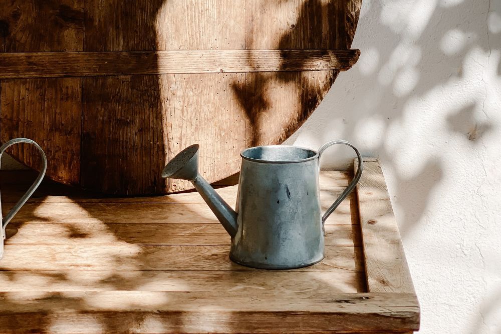 Rustic watering can sitting on a table in the sunlight