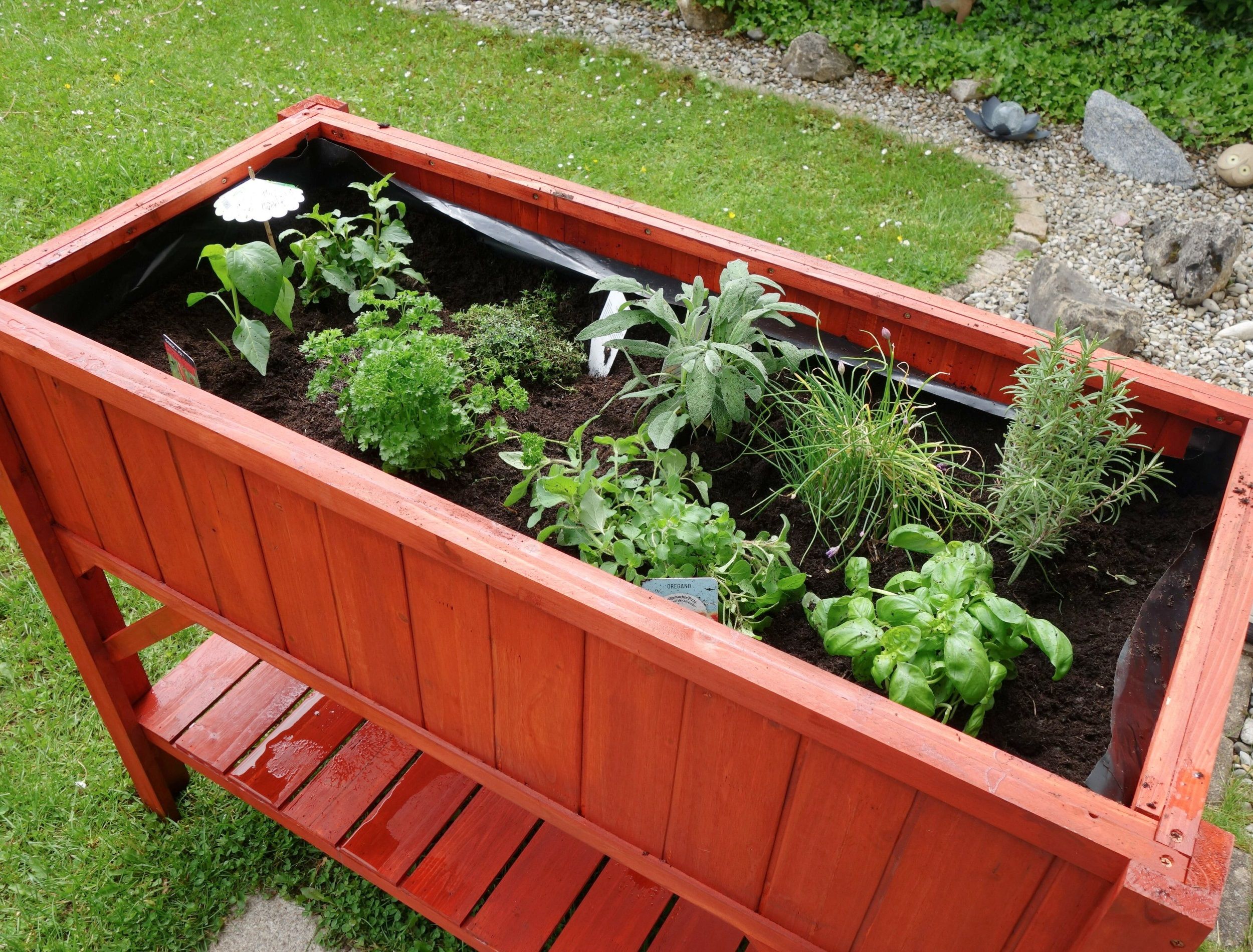 A raised bed filled with different herbs in a garden