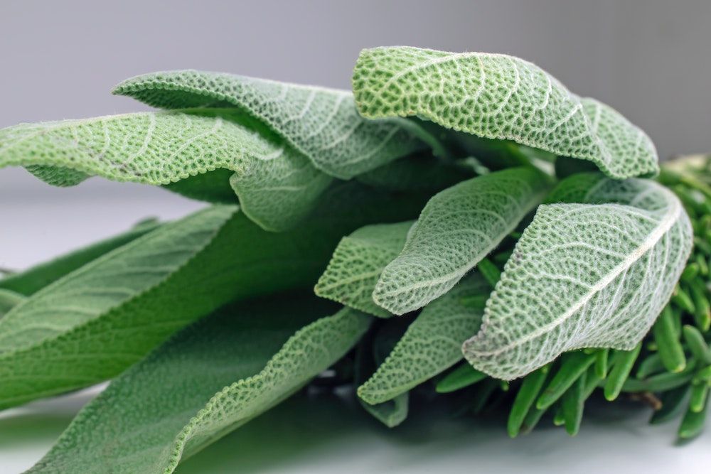 sage leaves on white surface