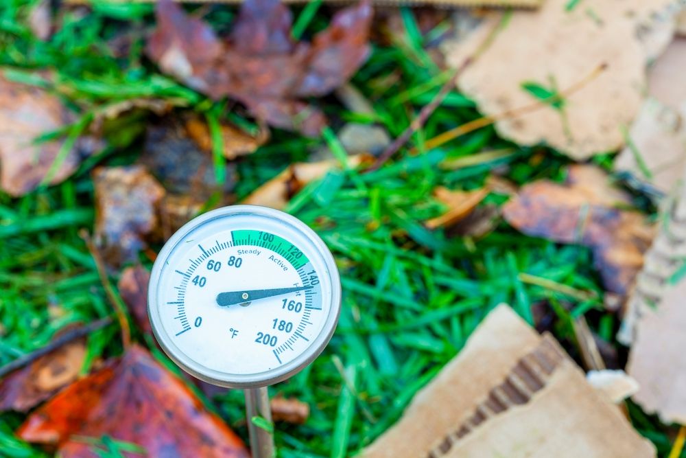 a metal compost thermometer inserted into a pile of composting material. nitrogen and carbon containing mixture of leaves, lawn clippings and cardboard results in hot composting at high temperature