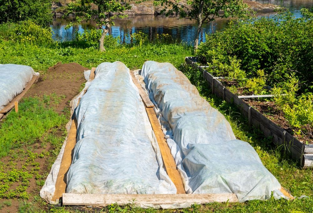 covering material used for beds in agriculture. background picture. technology of growing fruits and vegetables.