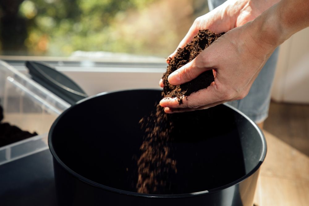 Transplanting a home pot. Close-up of female hands pouring soil into a po