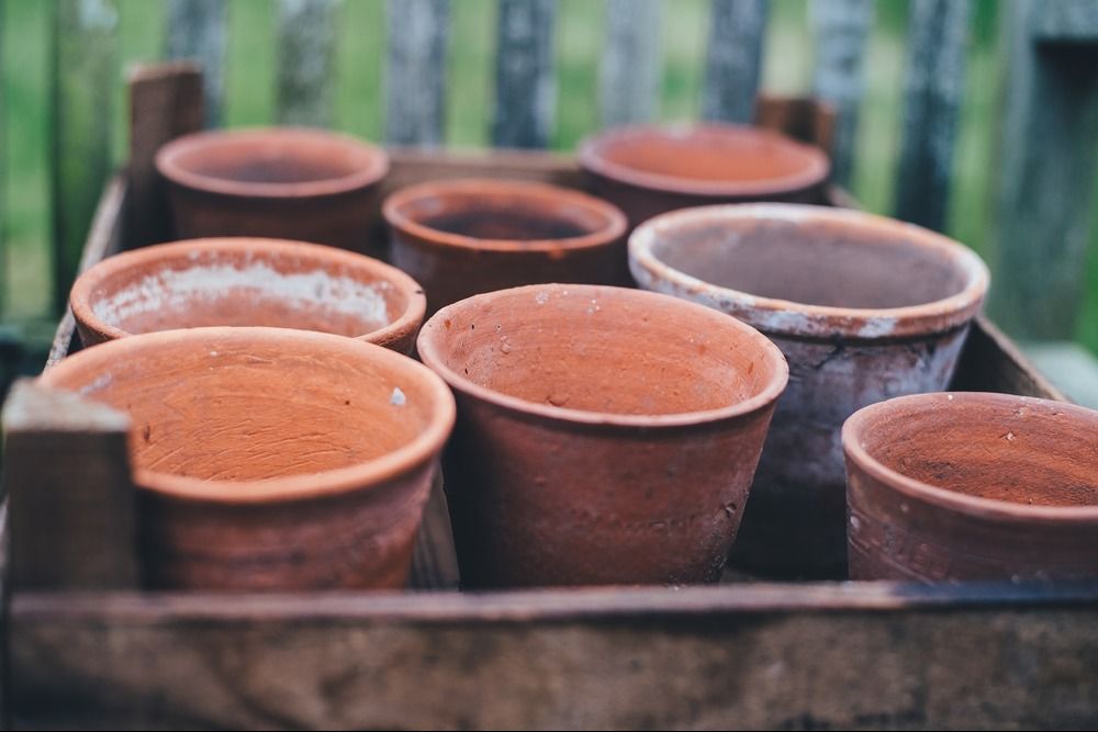 group of terracotta pots soaking