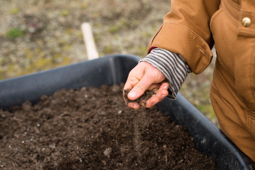 Person holding dirt above a wheelbarrow filled with gardening soil