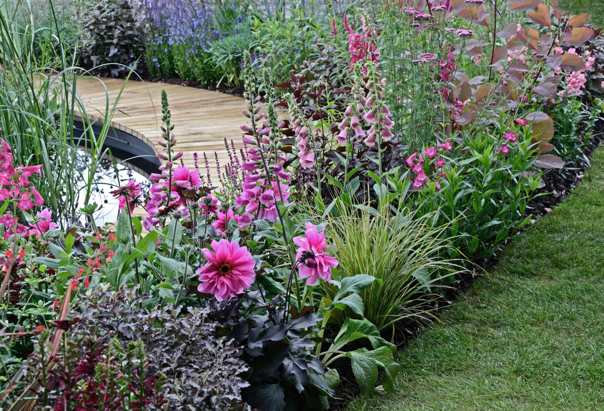 8 Best Plants For Your Woodland Garden