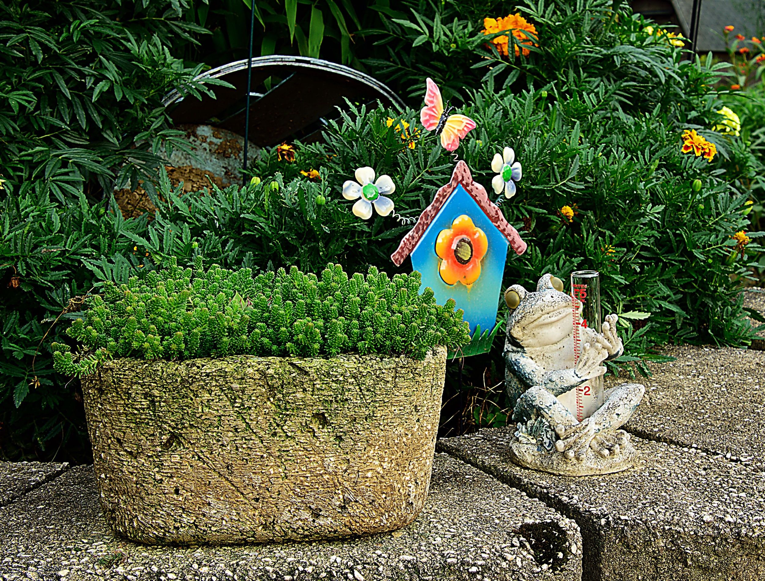 hypertufa flower pot and decorations 