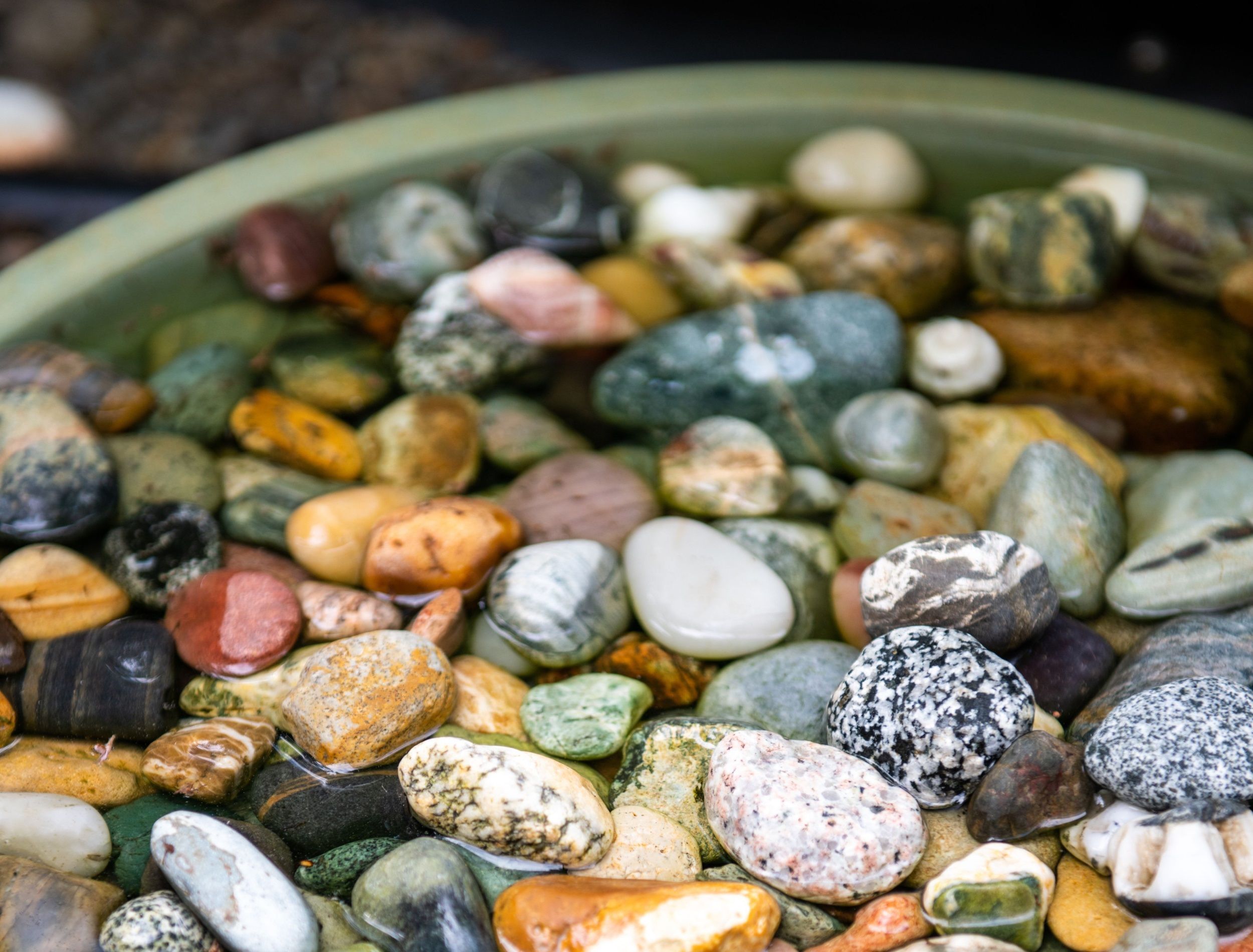 How To Increase Houseplant Humidity with a Pebble Tray