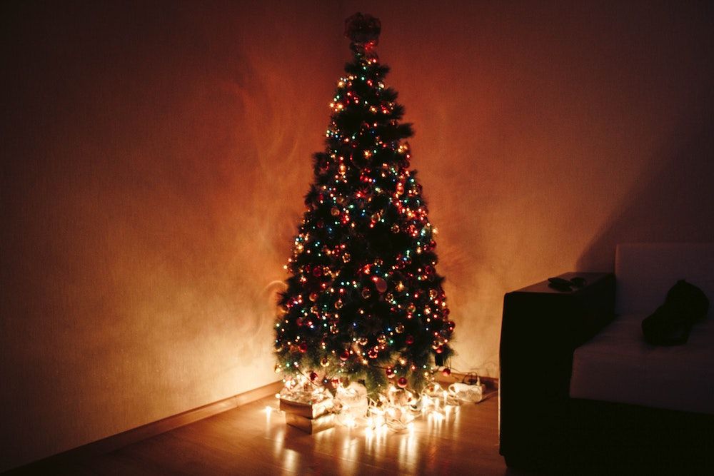 7 Tips To Make Your Christmas Tree Last Longer