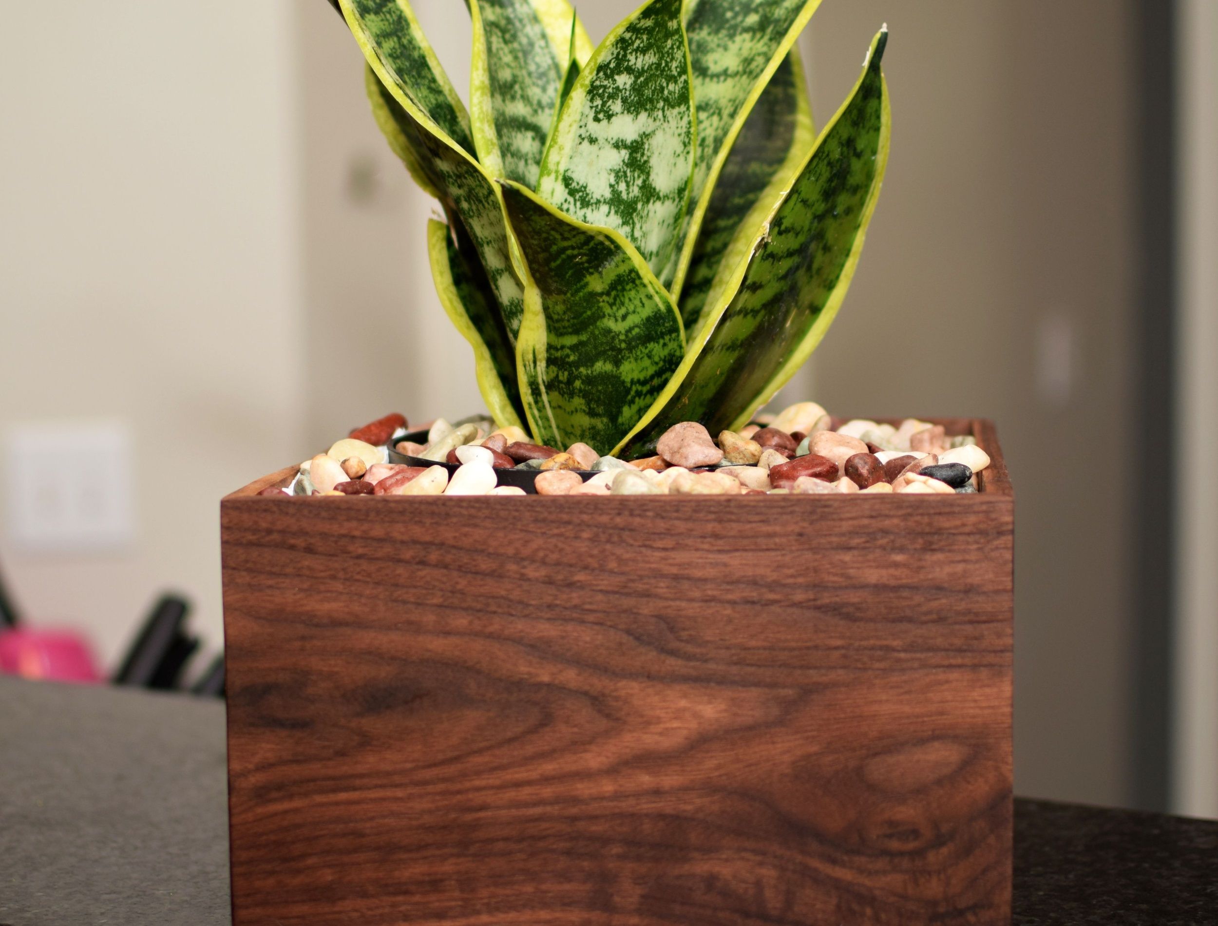 wooden planter box for succulents