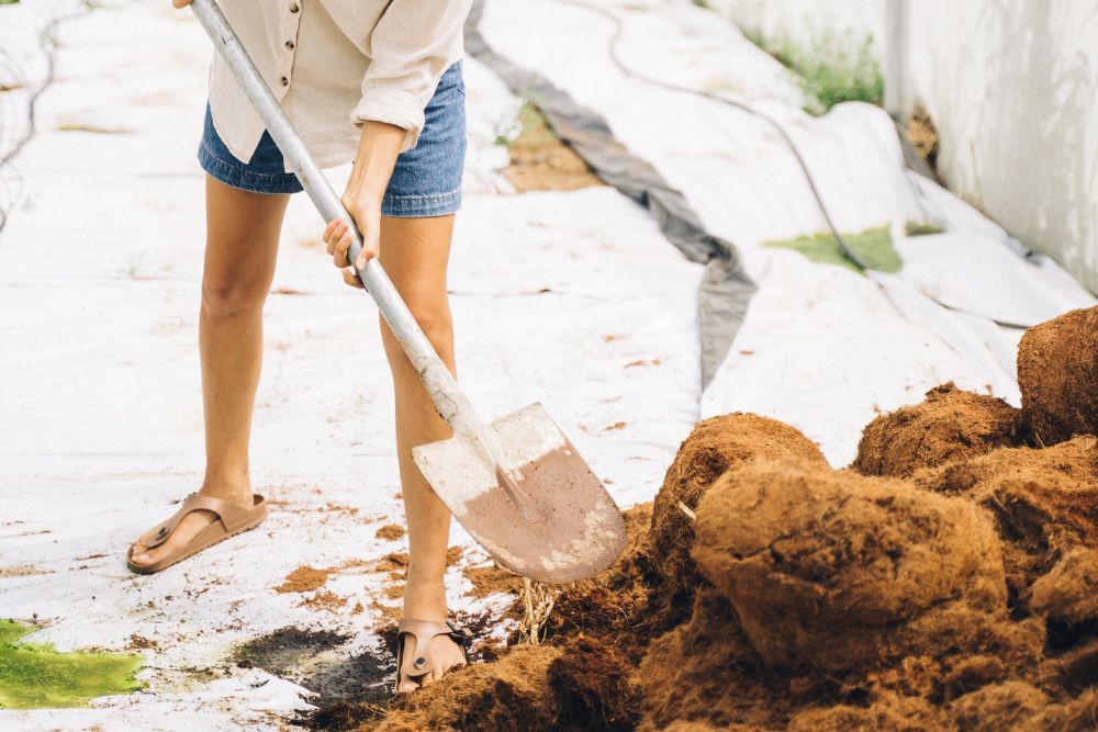 woman digging with a rounded-edge shovel