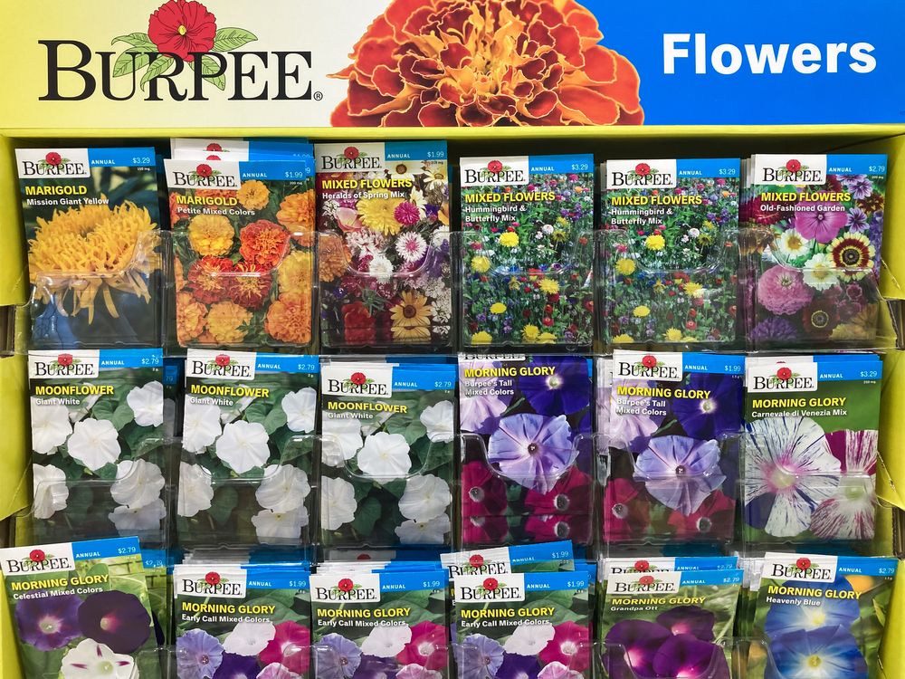 Burpee flower seeds, gardening