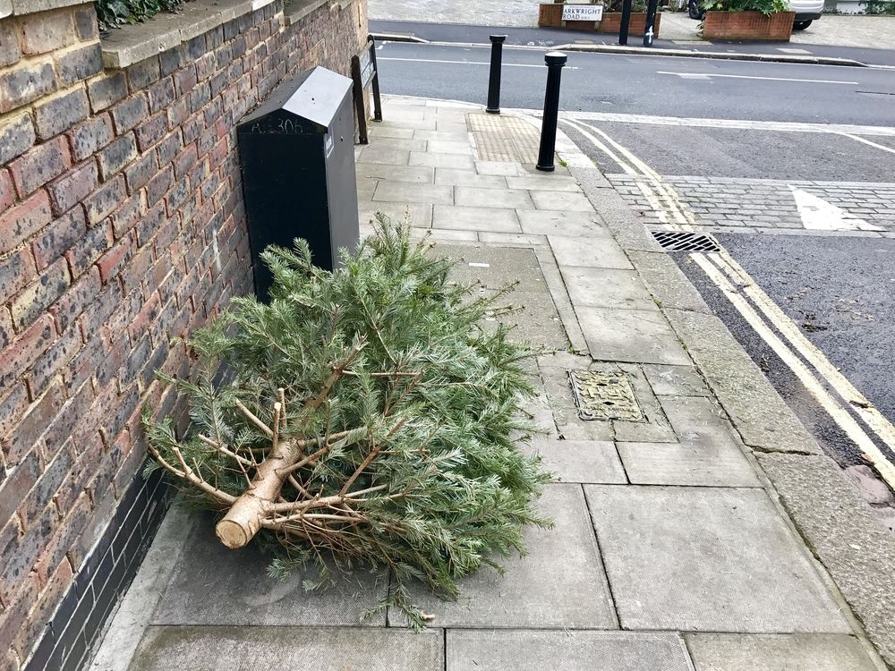 7 Ways to Dispose of Your Christmas Tree