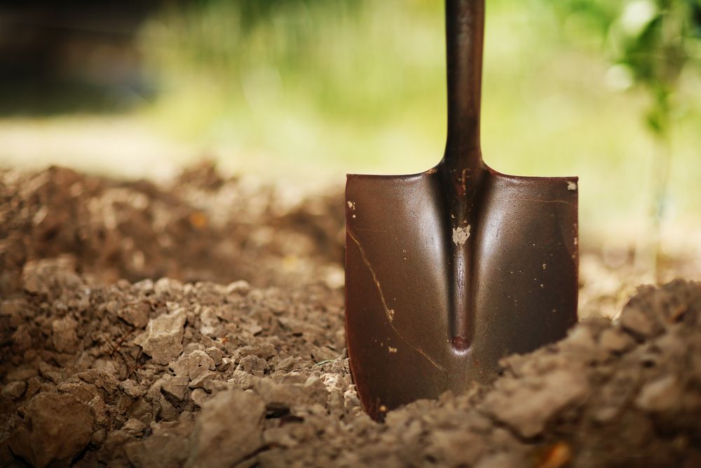 soil with shovel