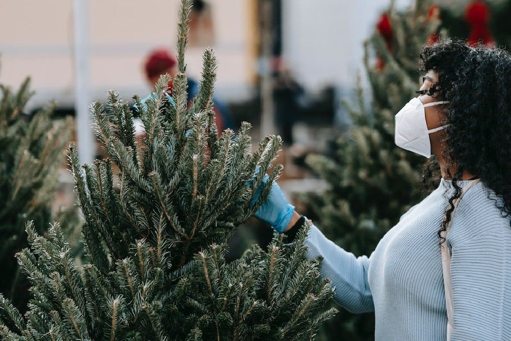 7 Tips To Make Your Christmas Tree Last Longer