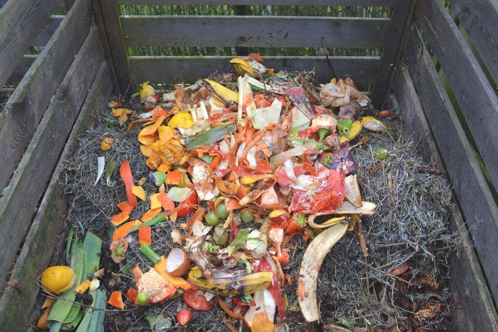 Compost in a garden bed