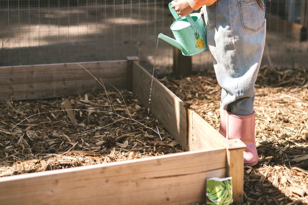 Girl watering a garden bed