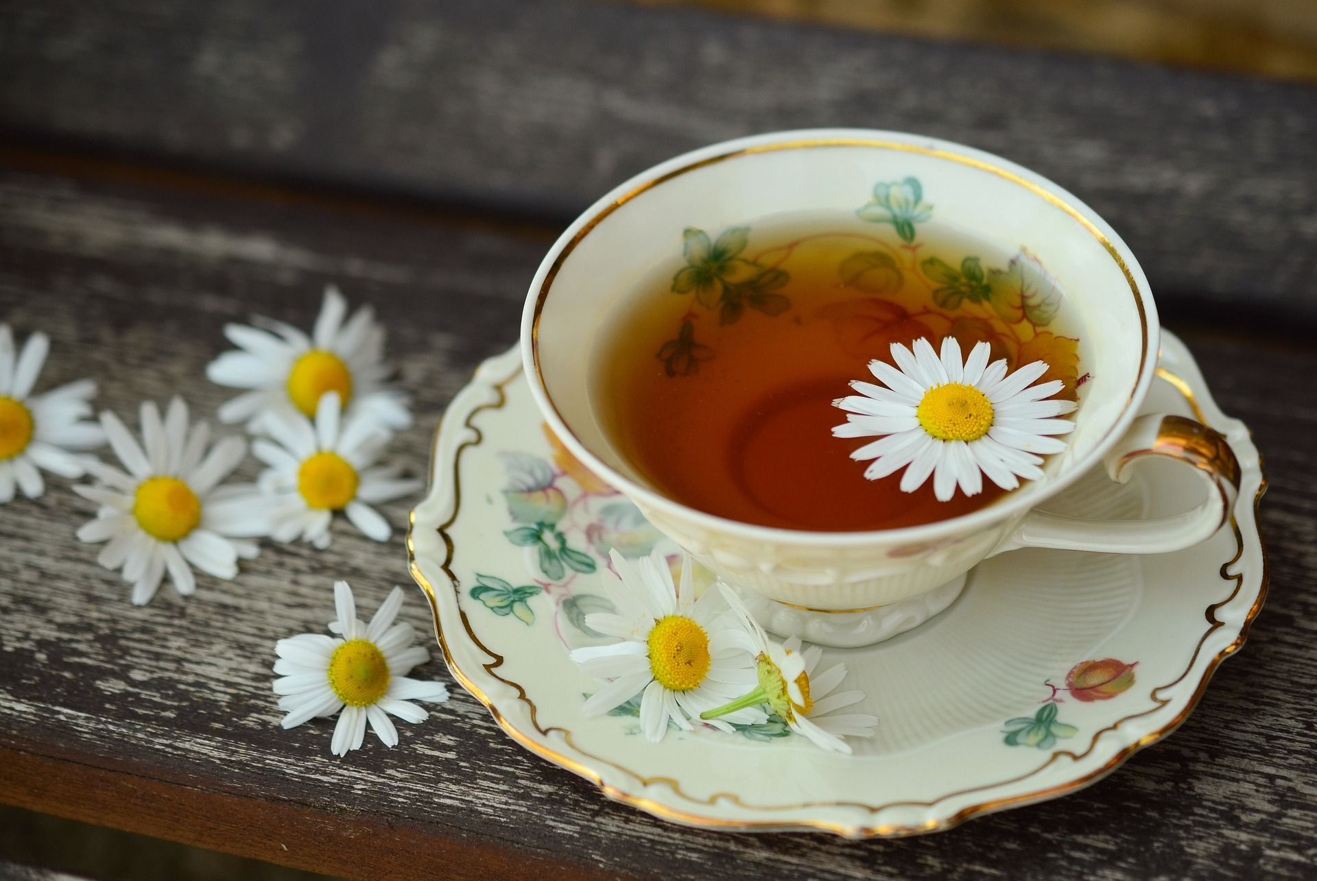 Tea cup with chamomile flowers