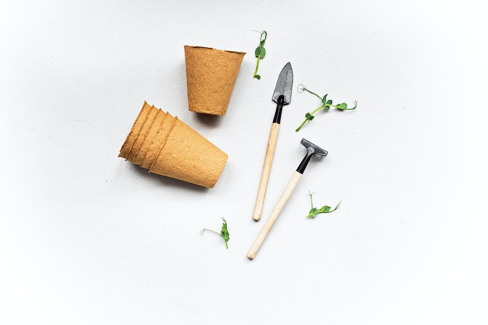 Gardening Tools and Sprouts On White Surface