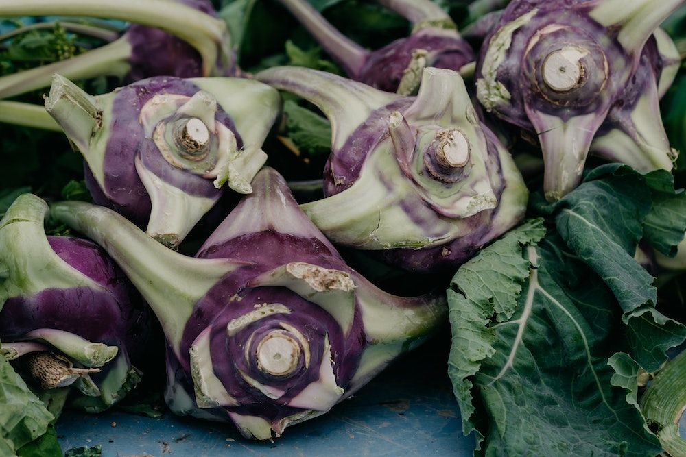 Cabbages in Close-Up Photography
