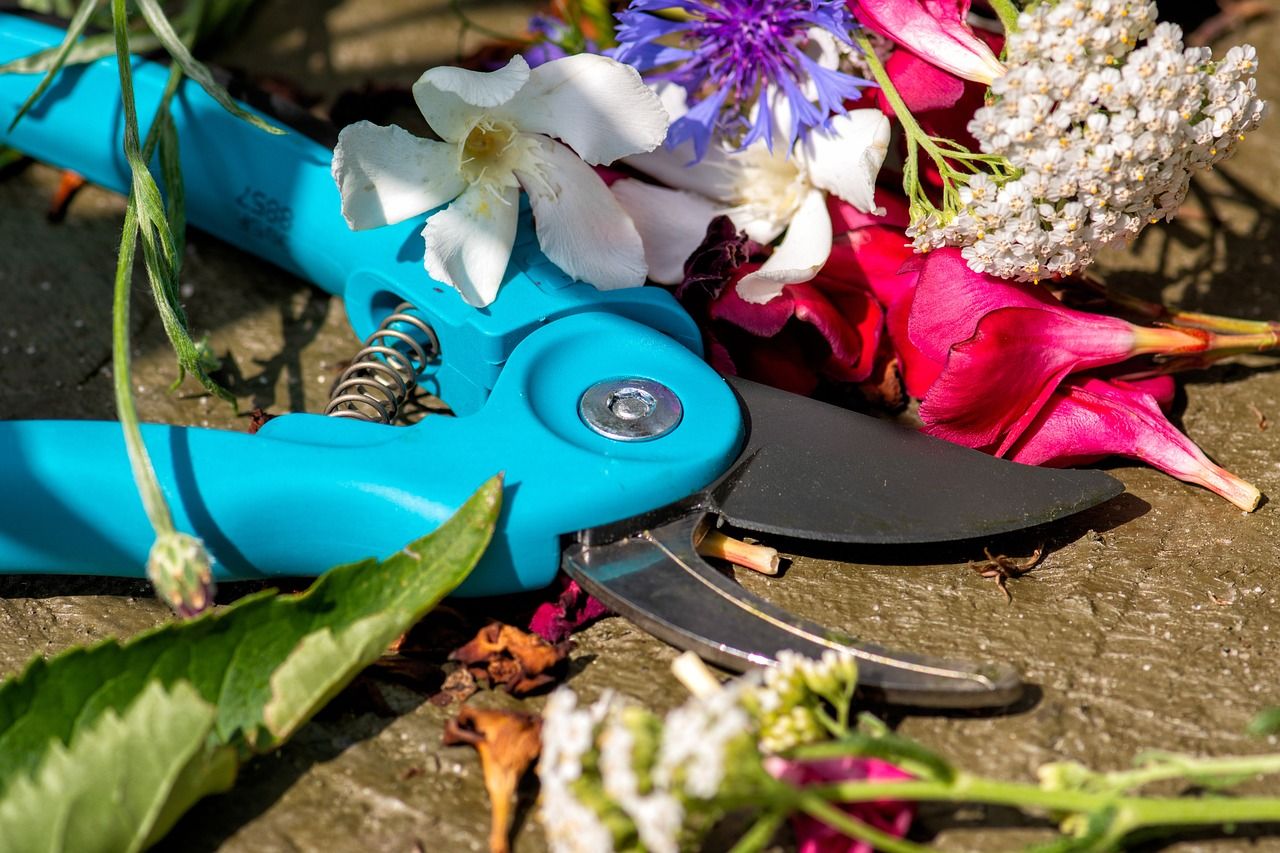 pruning shears with flowers