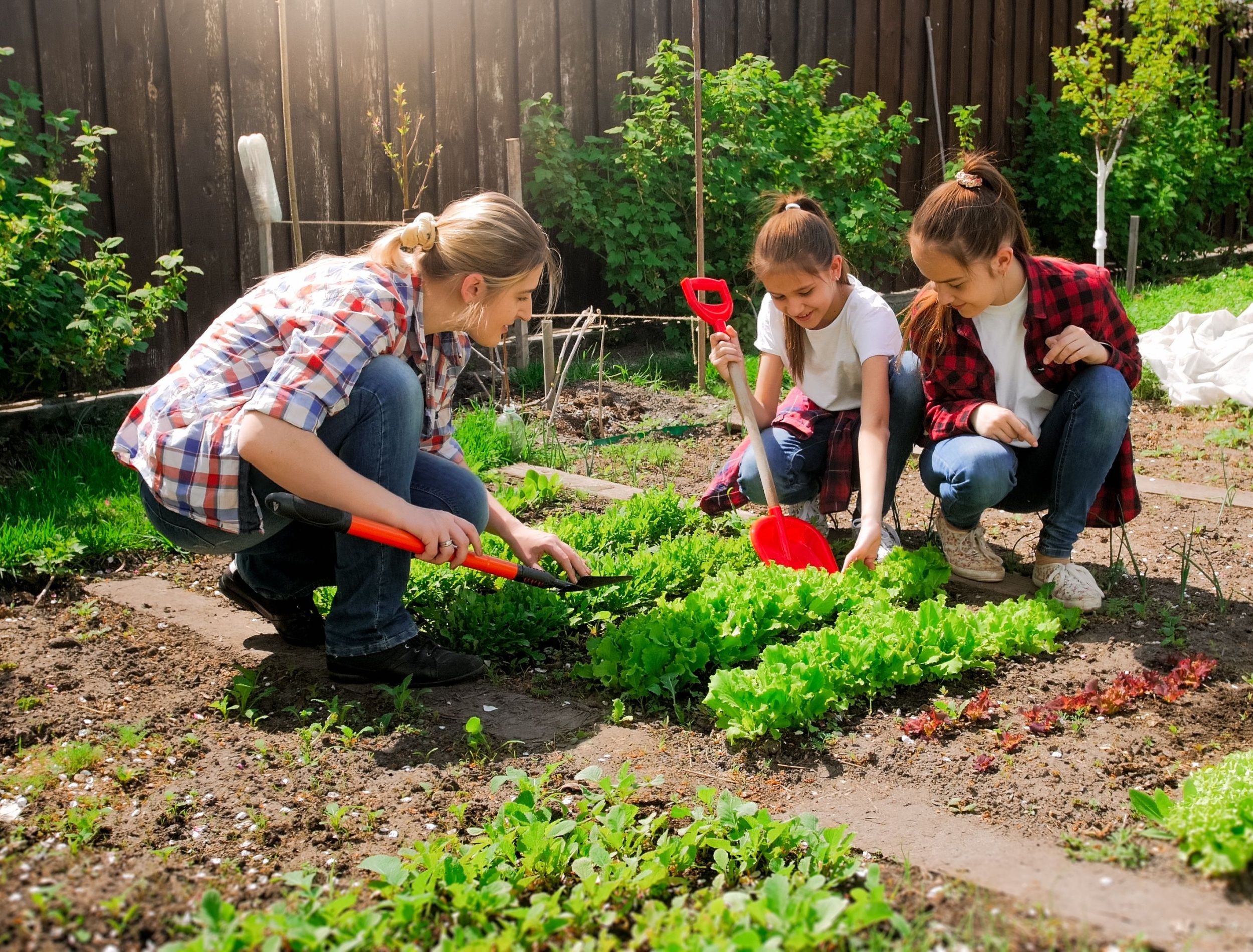 Everything You Need To Know About When To Plant Your Vegetable Garden