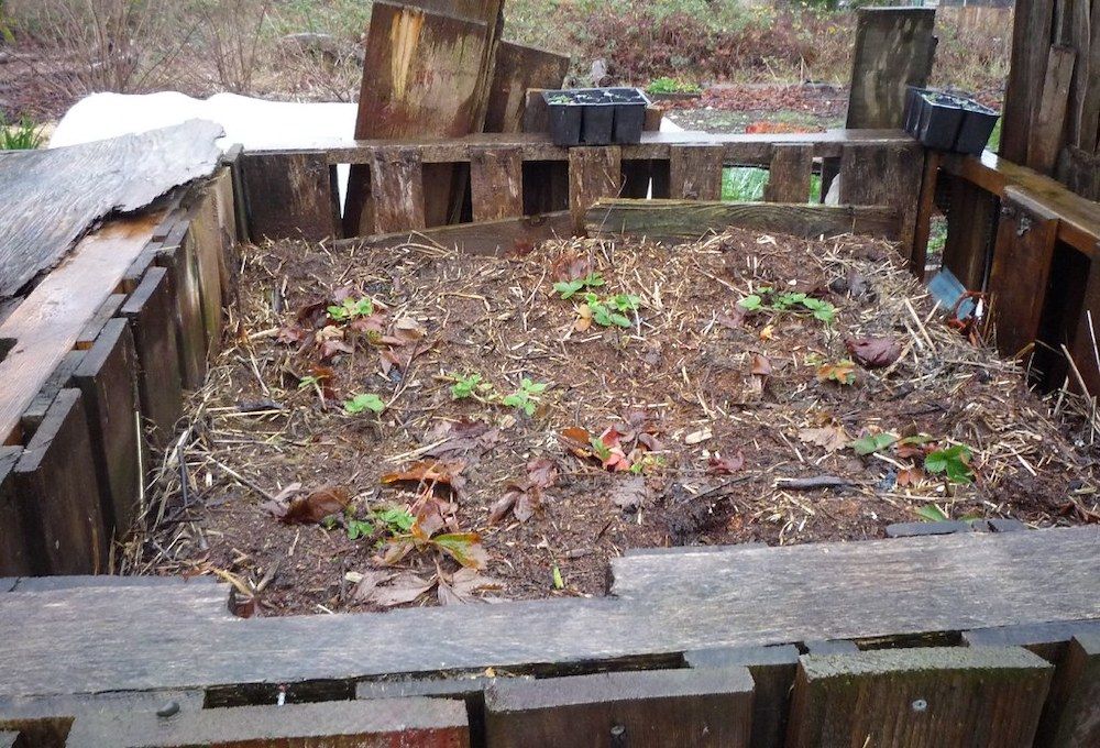 dry compost, composting