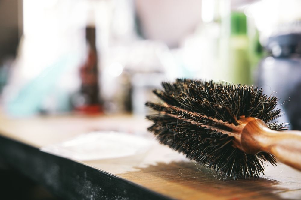 Do Coffee Grounds Repel Cats From Your Garden?