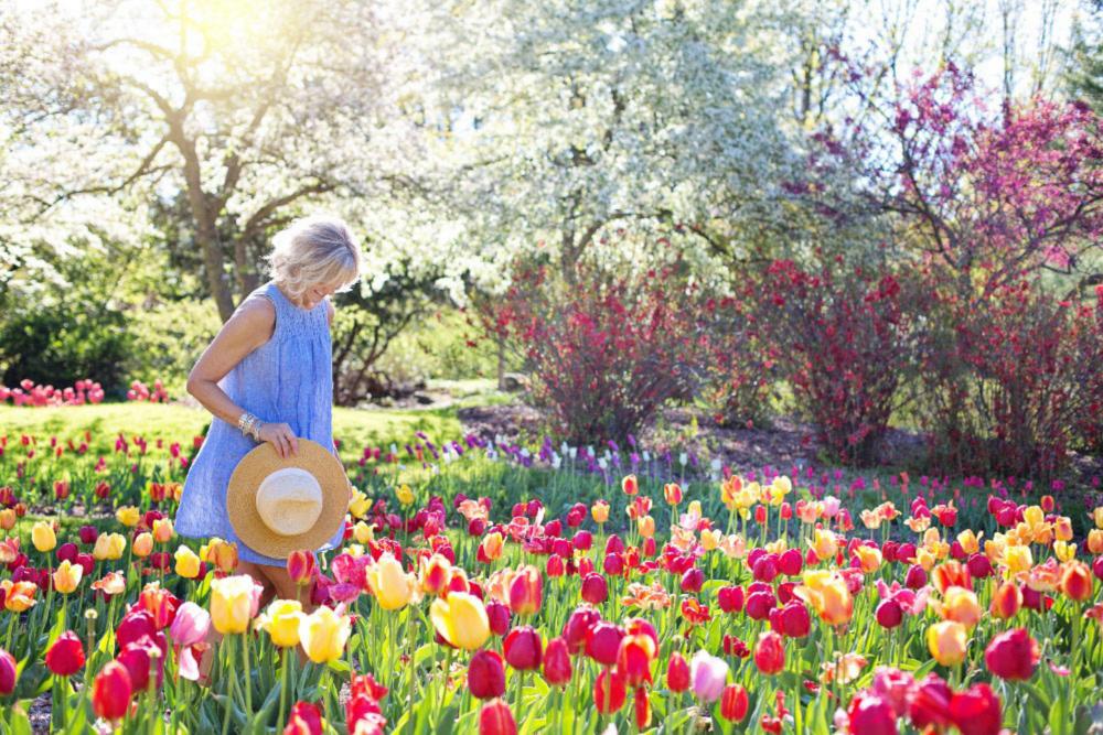 Woman Walking in a Bed of Tulips