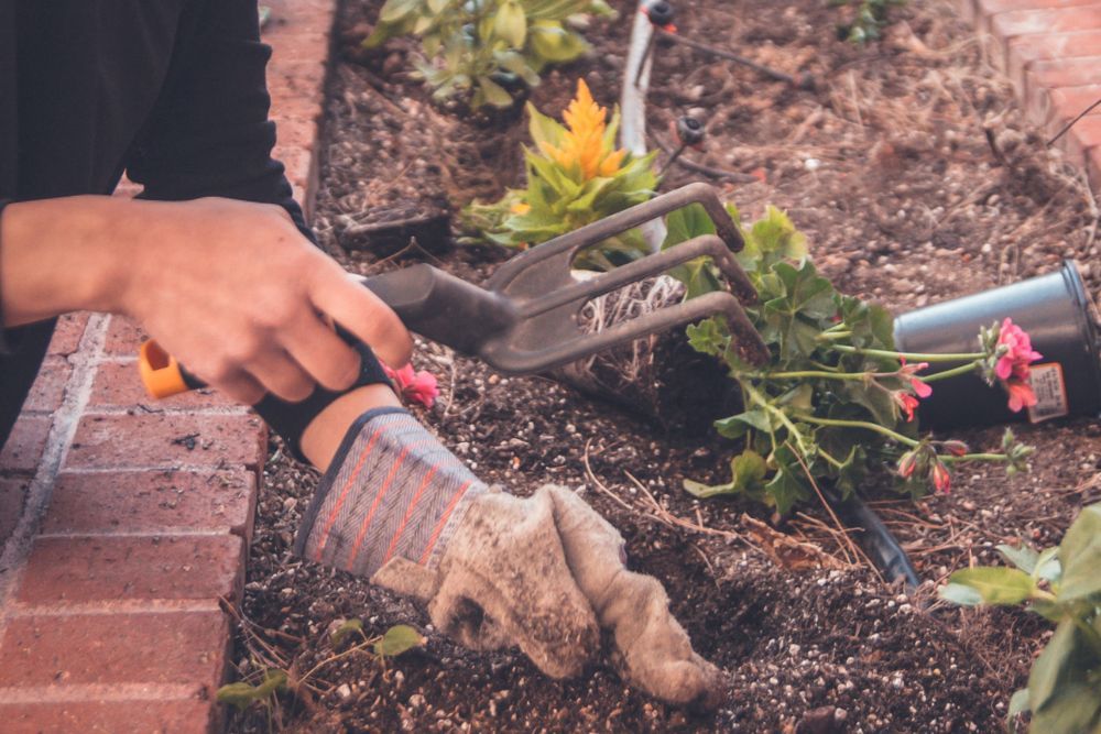 person wearing gardening gloves preparing garden bed to plant flowers