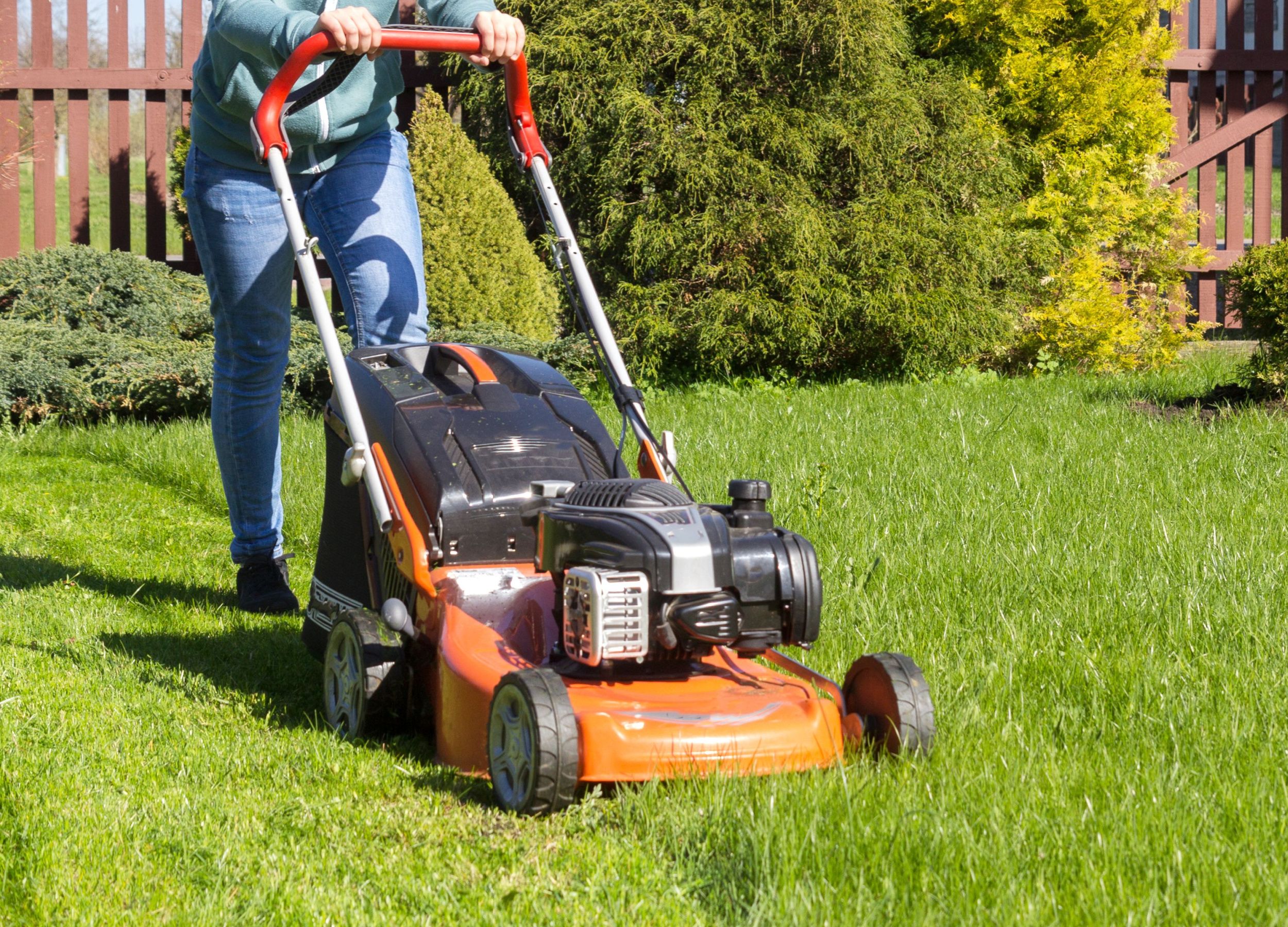 When You Should Start Mowing Your Lawn After Winter when-you-should-start-mowing-your-lawn-after-winter