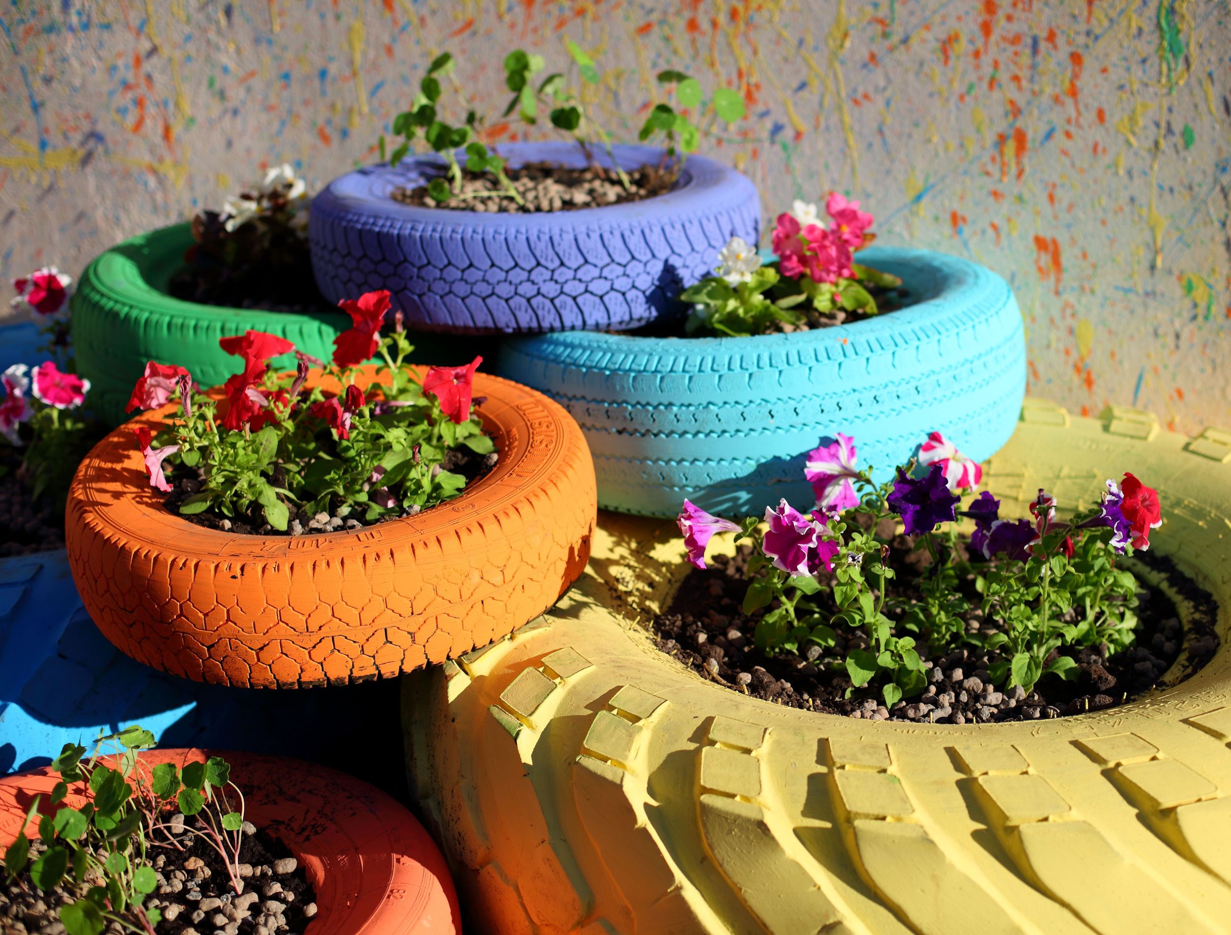 14 Spring Container Garden Ideas