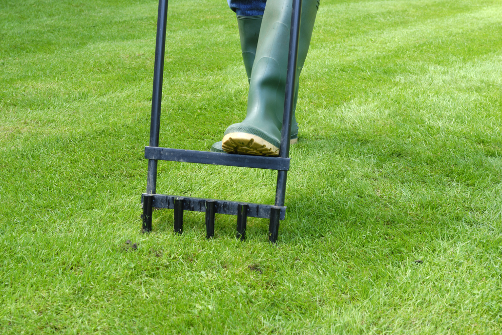 a person aerating the lawn