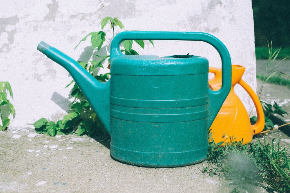 Watering can outdoors