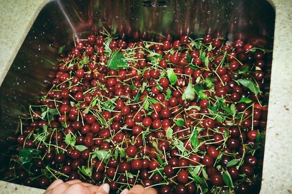 How to Grow Cherry Trees in Pots