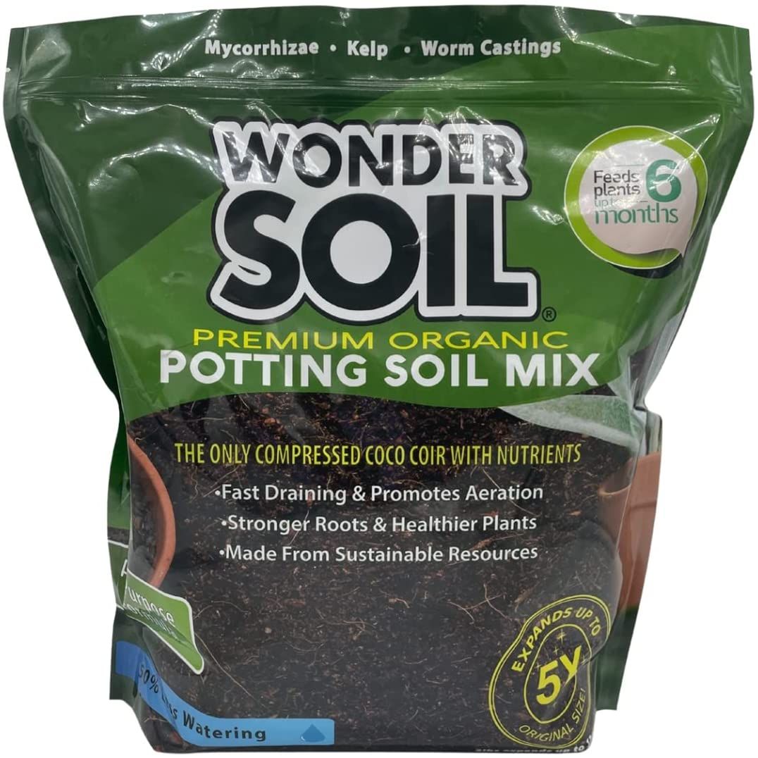 What Potting Soil Is Best for Indoor Plants?