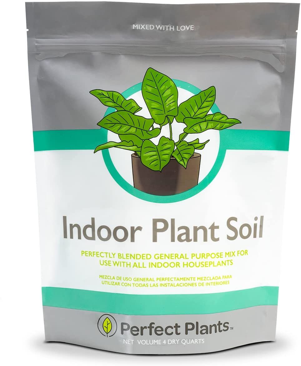 What Potting Soil Is Best For Indoor Plants?