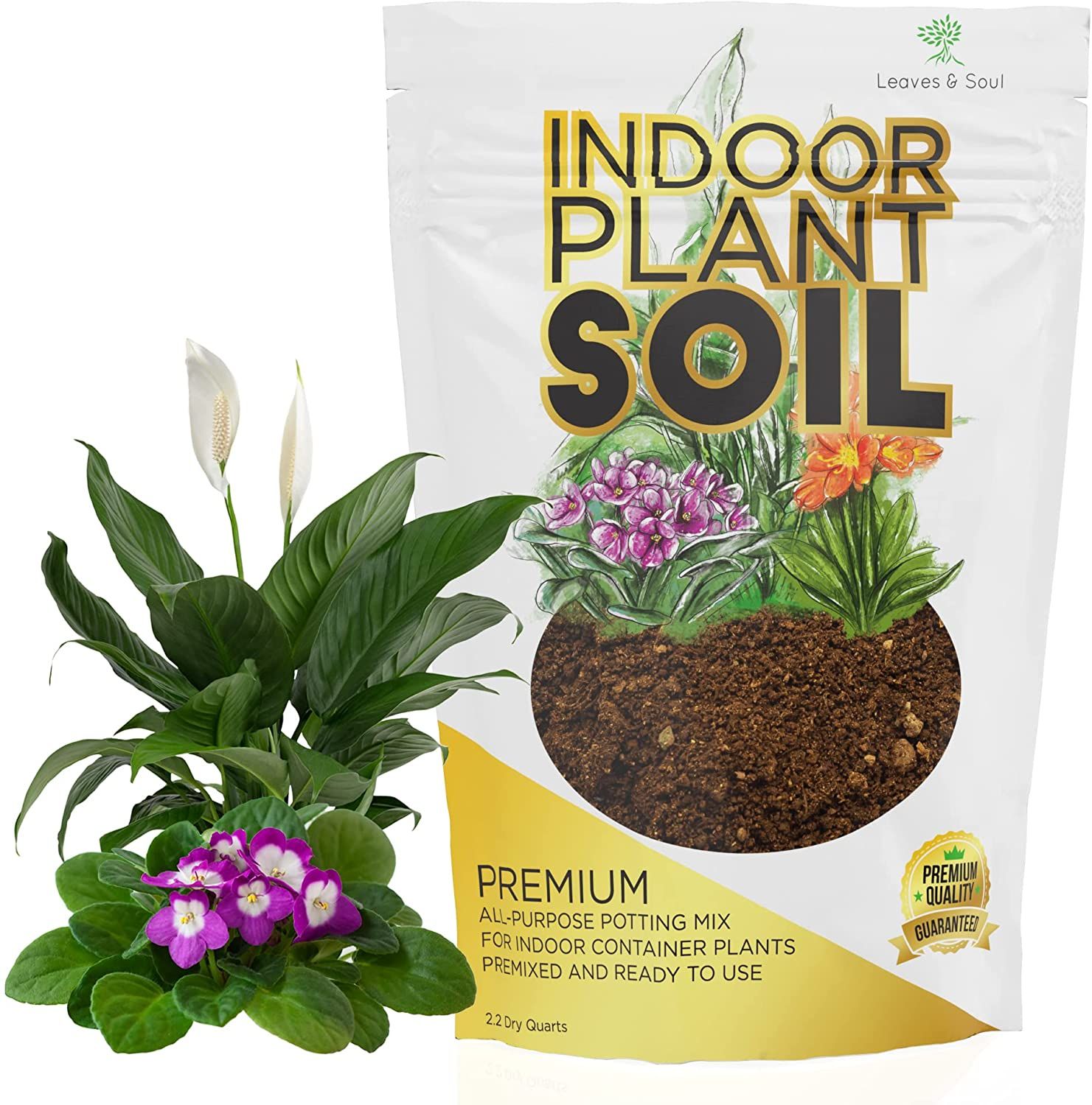 What Potting Soil Is Best For Indoor Plants?