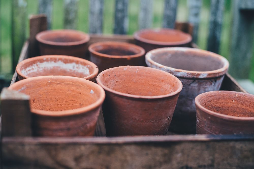 Selection of gardening pots
