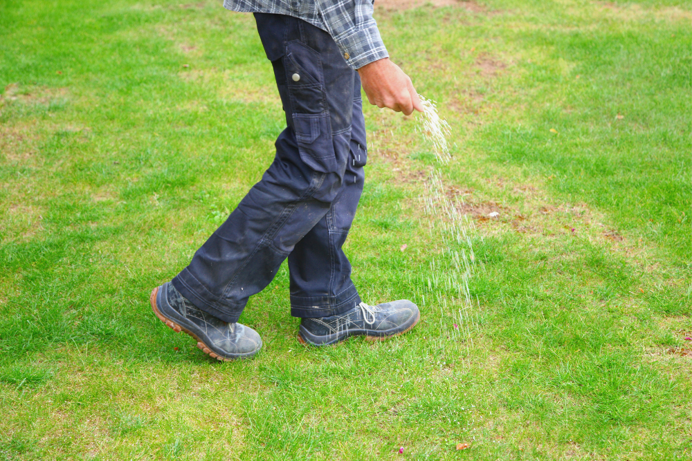 Man fertilizing lawn