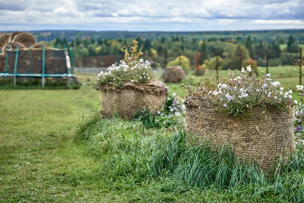 Straw Bale Gardening with flowers