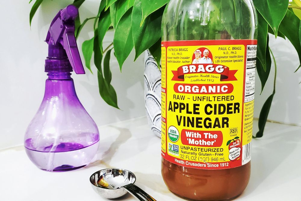 can i use apple cider vinegar to kill weeds