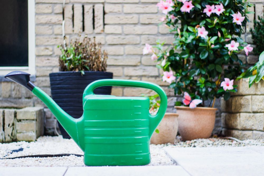 Watering can outdoors in a garden