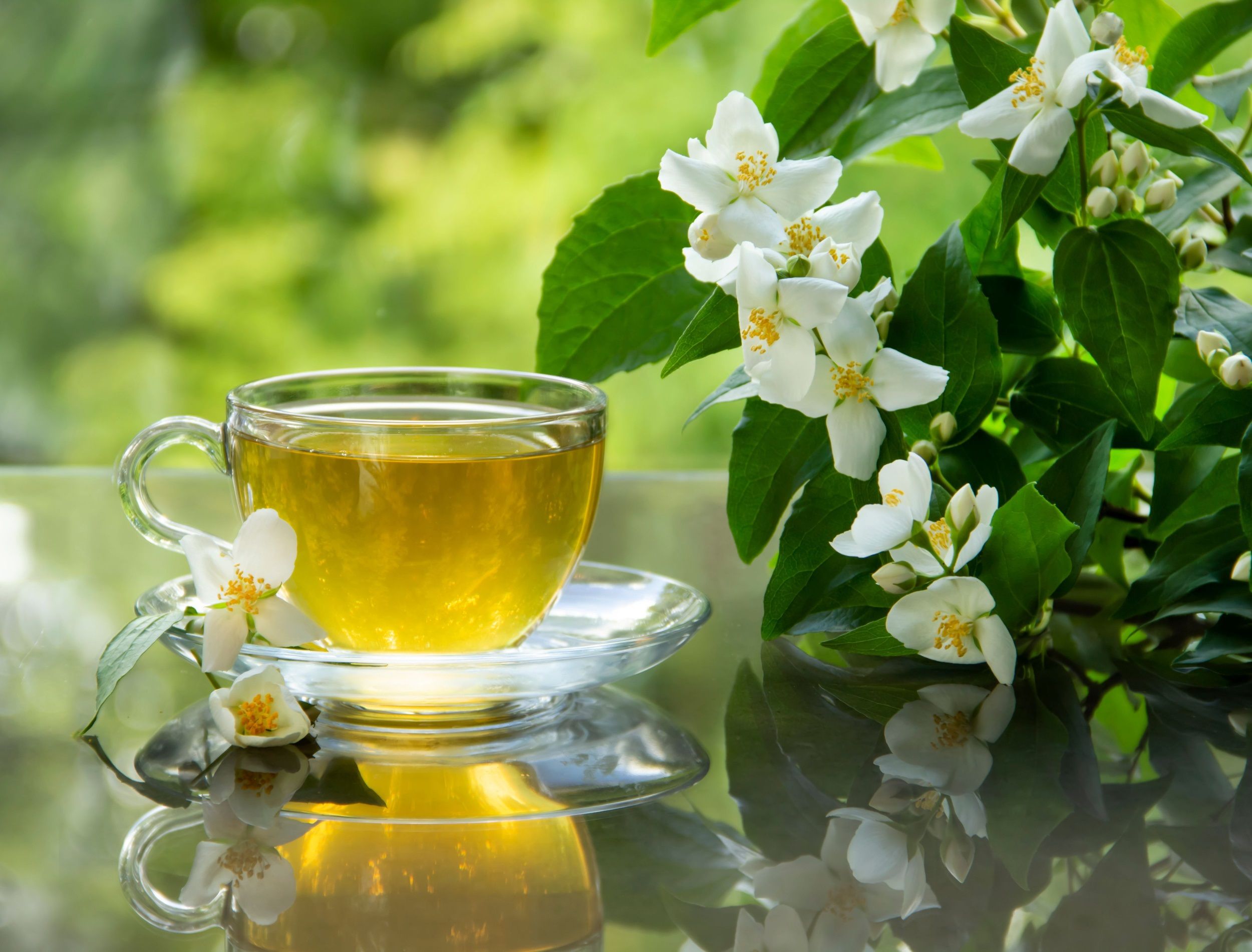 jasmine flowers and vine with cup of tea on a table