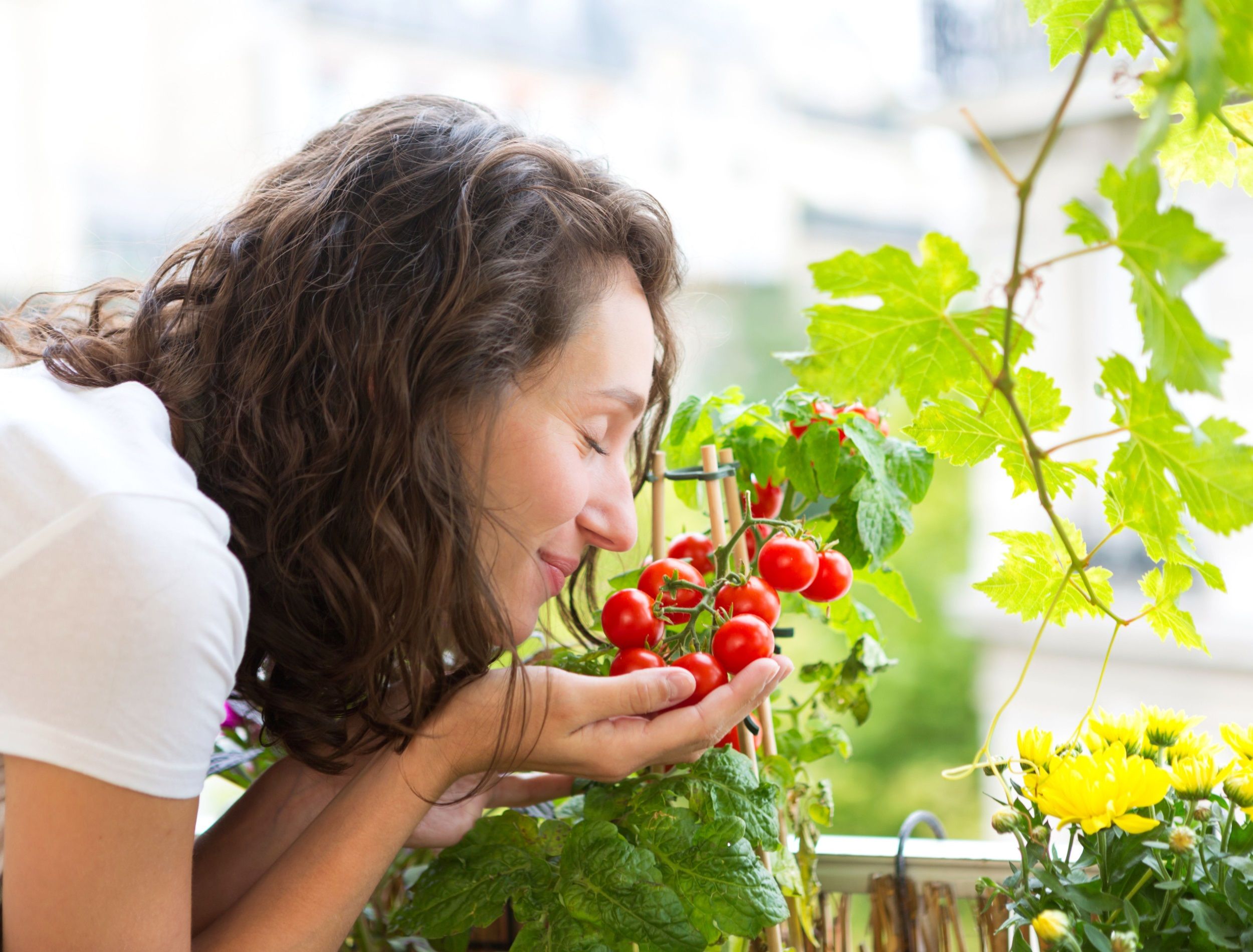 View of a Young woman taking care of her plants and vegetables on her city balcony garden - Environment and ecology theme