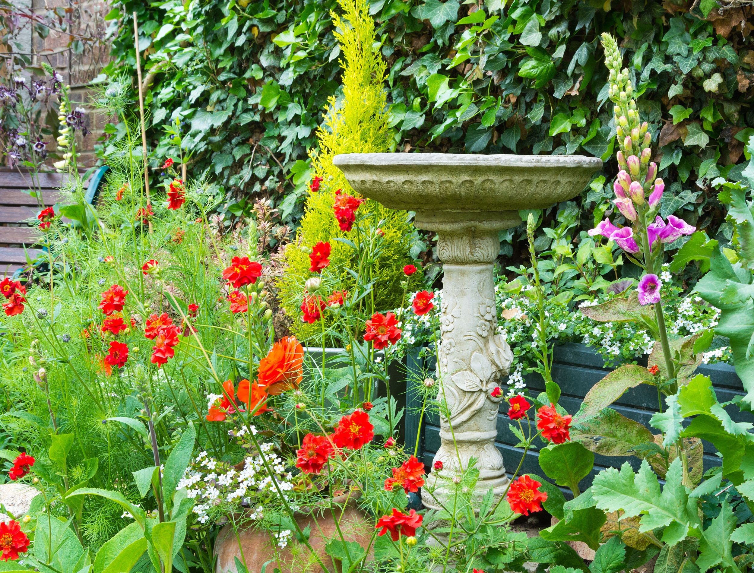 Spring garden with bird bath blooming with different flowers